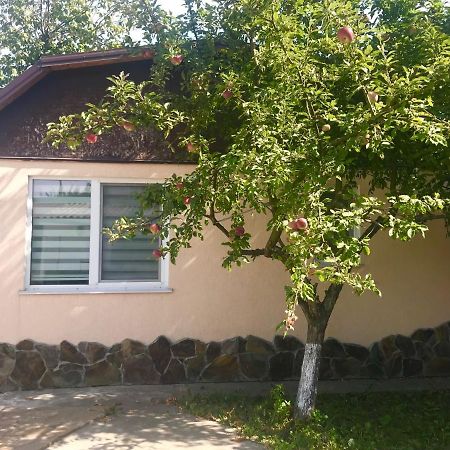 Apartments With Kitchen And Garden Kyiv Exterior photo